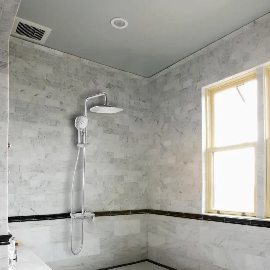 Coloana Dus, Alama Sanitara, Satinat, 10010N